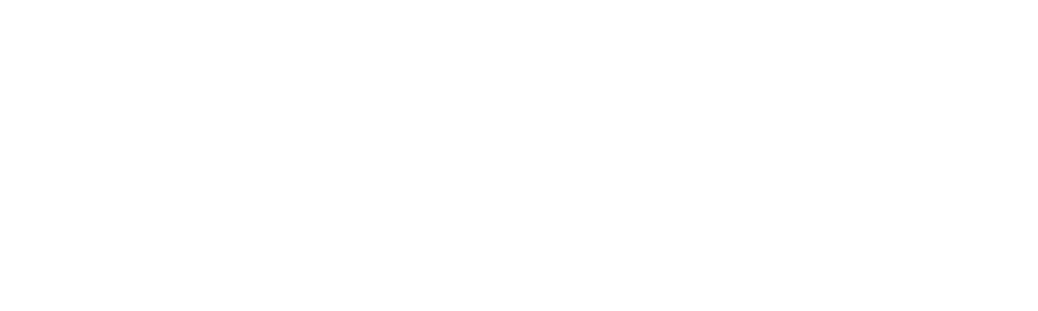 z Karun_Vertical_LOGO BLANCO-01